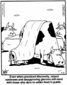 cow cover